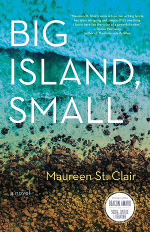 Cover of the book Big Island, Small by Graham Reynolds