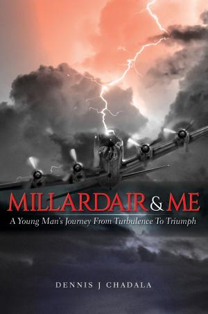 Cover of the book Millardair and Me by David Amsden