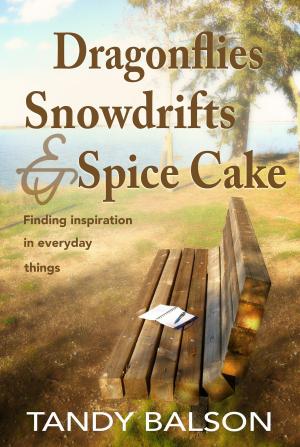 Book cover of Dragonflies, Snowdrifts & Spice Cake