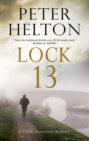 Cover of the book Lock 13 by Elizabeth Gunn