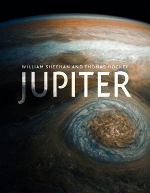 Cover of the book Jupiter by Aldis Purs