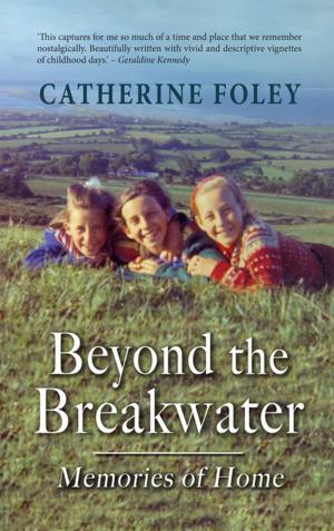 Cover of the book Beyond the Breakwater: by Michael Lenihan