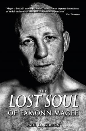 Cover of the book The Lost Soul of Eamonn Magee by Noel French