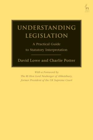 Cover of the book Understanding Legislation by Dr Christopher Lauer