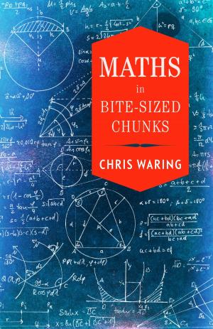 Cover of the book Maths in Bite-sized Chunks by William Wordsworth