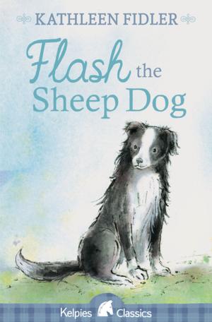 Cover of the book Flash the Sheep Dog by Kathleen Fidler