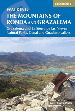 Cover of the book The Mountains of Ronda and Grazalema by Dan Bailey