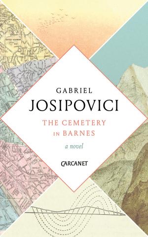 Book cover of Cemetery in Barnes
