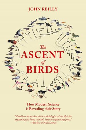 Cover of the book The Ascent of Birds by Trevor J. C. Beebee