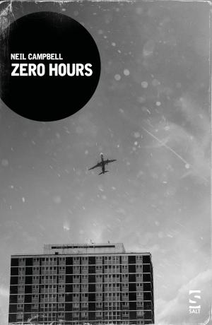 Cover of the book Zero Hours by Tobias Hill