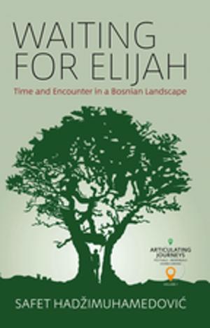 Cover of the book Waiting for Elijah by Steffi de Jong