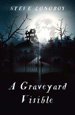 bigCover of the book A Graveyard Visible by 