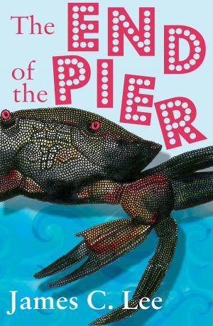 Cover of the book The End of the Pier by Sandeep Ghosh
