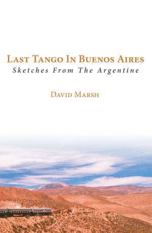 Book cover of Last Tango in Buenos Aires