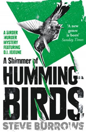Book cover of A Shimmer of Hummingbirds