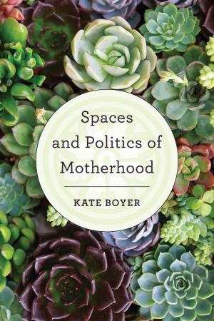Cover of the book Spaces and Politics of Motherhood by Renaud Thillaye