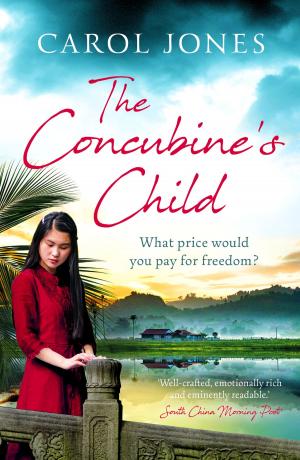 bigCover of the book The Concubine's Child by 