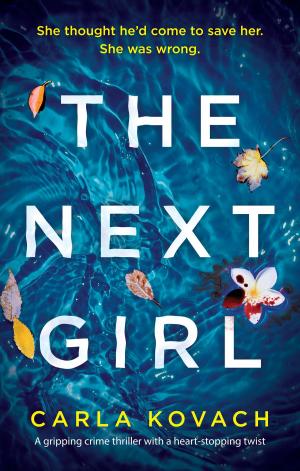 Cover of the book The Next Girl by K.L. Slater