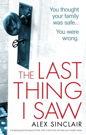 Cover of the book The Last Thing I Saw by Kevin Rodrigues