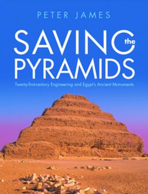 Book cover of Saving the Pyramids