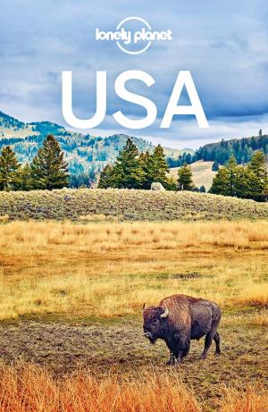 Cover of the book Lonely Planet USA by Lonely Planet, Oliver Berry, Gregor Clark, Marc Di Duca, Duncan Garwood, Catherine Le Nevez, Korina Miller, John Noble, Kevin Raub, Andrea Schulte-Peevers