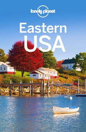 Book cover of Lonely Planet Eastern USA