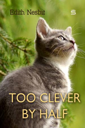 Book cover of Too Clever by Half