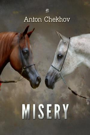 Cover of the book Misery by Aphra Behn