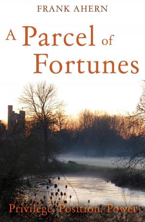 bigCover of the book A Parcel of Fortunes by 