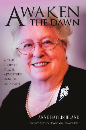 Cover of the book Awaken the Dawn by Dr Peter Stevenson