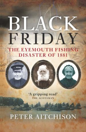 Cover of the book Black Friday by Donald S. Murray