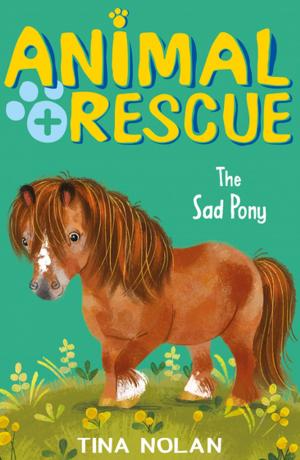 Book cover of The Sad Pony