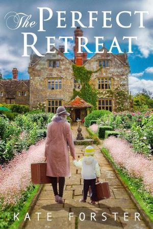 Book cover of The Perfect Retreat