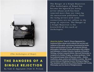 Cover of The Danger of a Single Rejection
