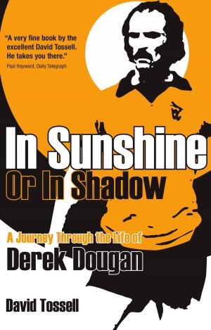 Cover of the book In Sunshine or in Shadow by Steve Mingle