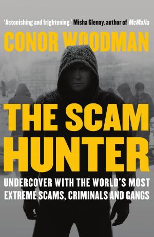 Cover of the book The Scam Hunter by David Ziggy Greene