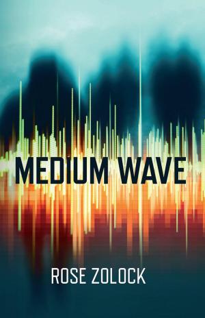 Cover of the book Medium Wave by Graham Smith