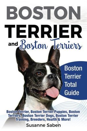 Cover of the book Boston Terrier and Boston Terriers by Susanne Saben
