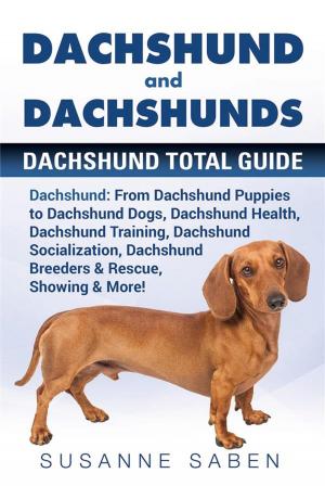 Cover of the book Dachshund and Dachshunds by Mark Manfield
