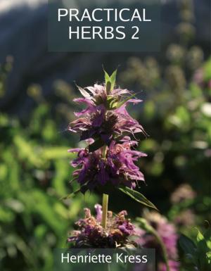 Cover of the book Practical Herbs 2 by Ramsey Dukes