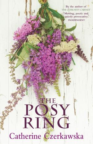 bigCover of the book The Posy Ring by 