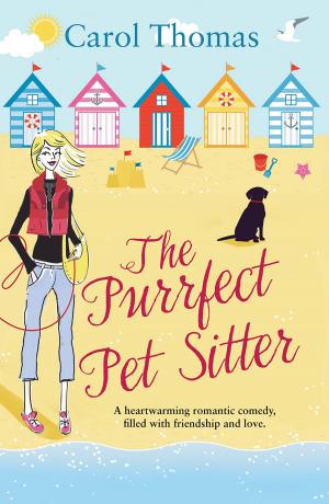 Book cover of The Purrfect Pet Sitter