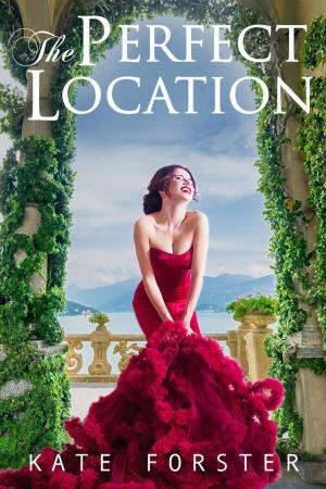 bigCover of the book The Perfect Location by 