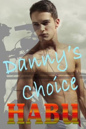 Cover of the book Danny´s Choice by Dirk Hessian