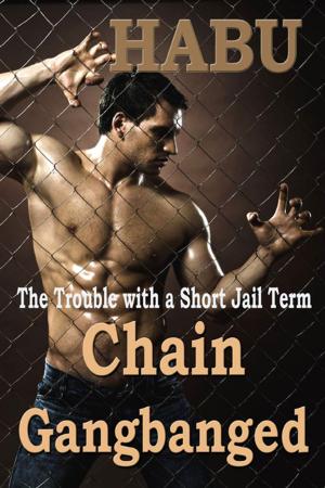 Cover of the book Chain Gangbanged by Roxanne Rhoads