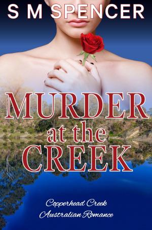 Cover of the book Murder at the Creek by Janet Quinn