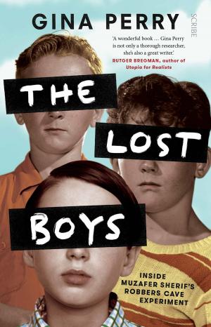 Cover of the book The Lost Boys by Carole Hungerford