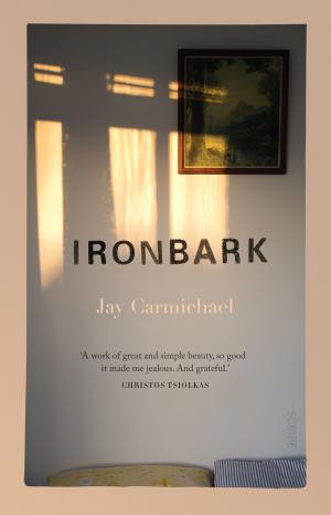 Cover of the book Ironbark by Jill Stark