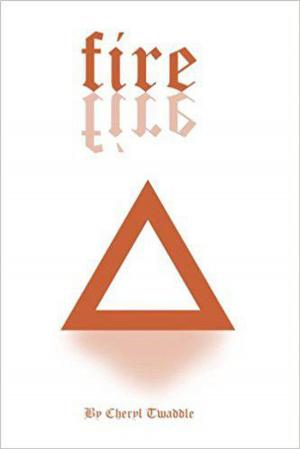 Cover of the book Fire by Luis Benitez