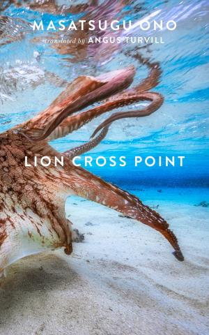 Cover of the book Lion Cross Point by Igiaba Scego